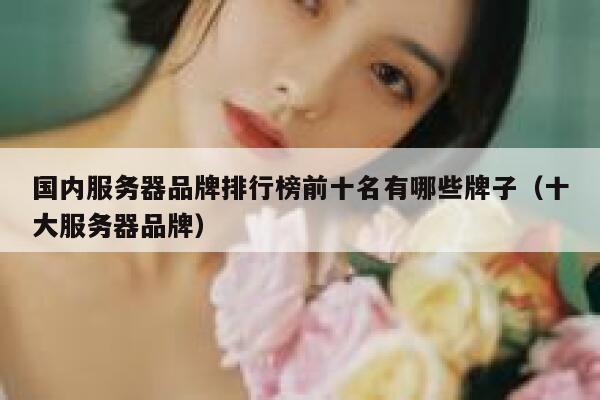国内服务器品牌排行榜前十名有哪些牌子（十大服务器品牌） 第1张