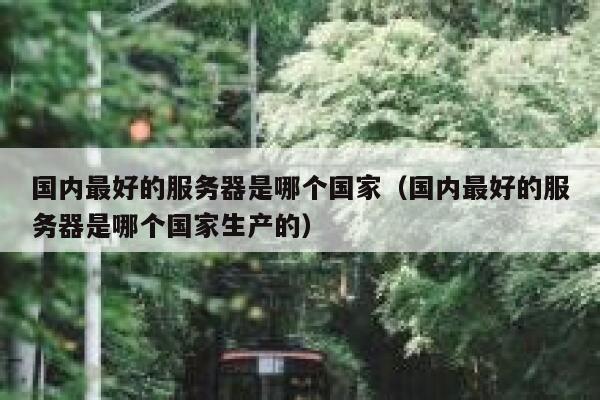 国内最好的服务器是哪个国家（国内最好的服务器是哪个国家生产的） 第1张