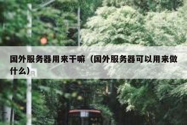 国外服务器用来干嘛（国外服务器可以用来做什么） 第1张