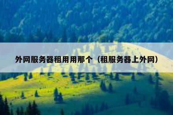 外网服务器租用用那个（租服务器上外网） 第1张