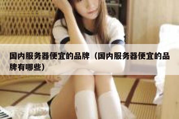 国内服务器便宜的品牌（国内服务器便宜的品牌有哪些） 第1张