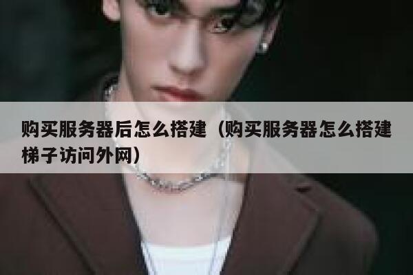 购买服务器后怎么搭建（购买服务器怎么搭建梯子访问外网） 第1张