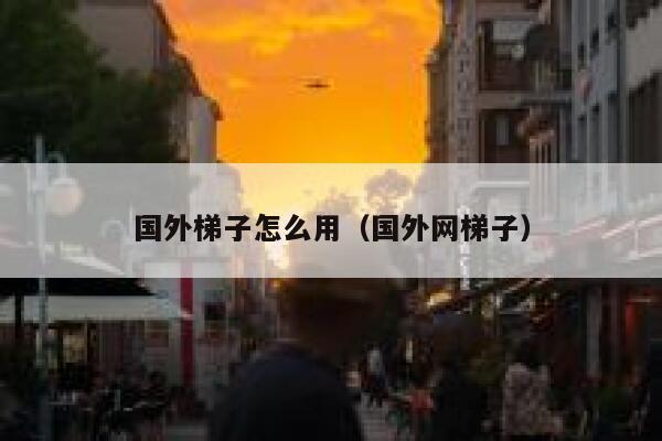 国外梯子怎么用（国外网梯子） 第1张