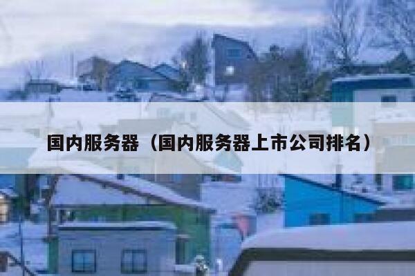 国内服务器（国内服务器上市公司排名） 第1张