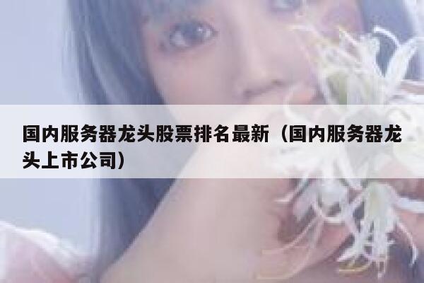 国内服务器龙头股票排名最新（国内服务器龙头上市公司） 第1张