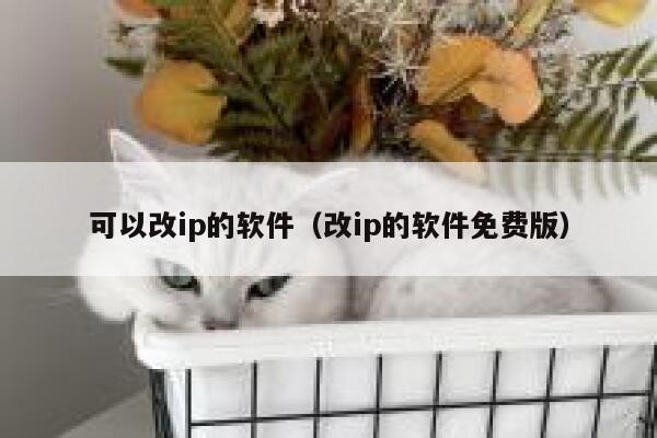 可以改ip的软件（改ip的软件免费版） 第1张
