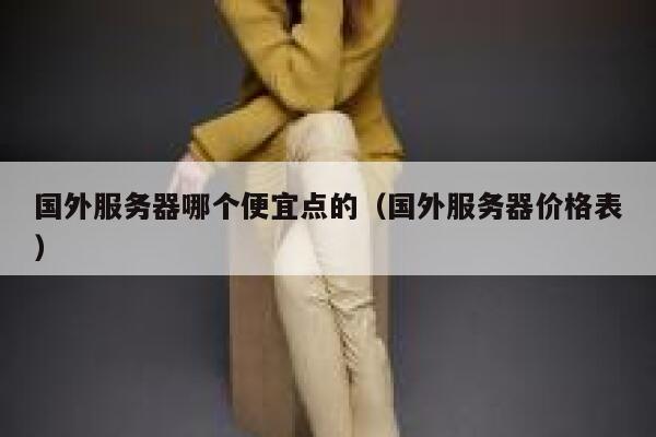 国外服务器哪个便宜点的（国外服务器价格表） 第1张