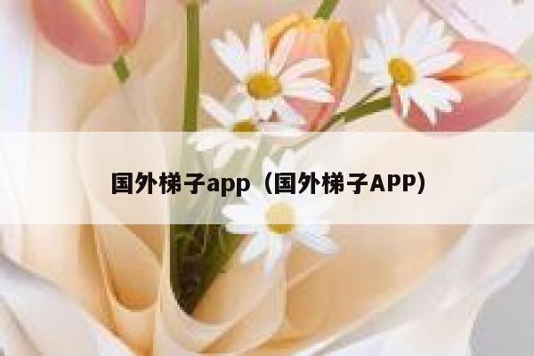 国外梯子app（国外梯子APP） 第1张