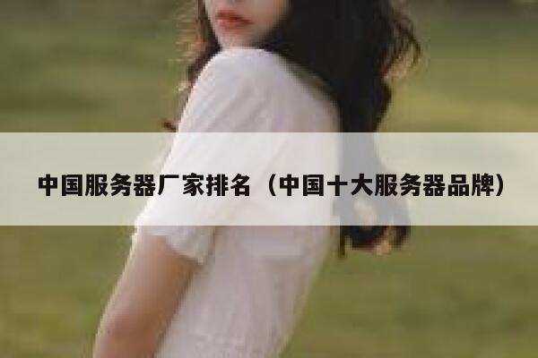 中国服务器厂家排名（中国十大服务器品牌） 第1张
