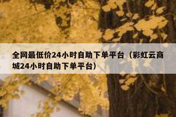 全网最低价24小时自助下单平台（彩虹云商城24小时自助下单平台） 第1张