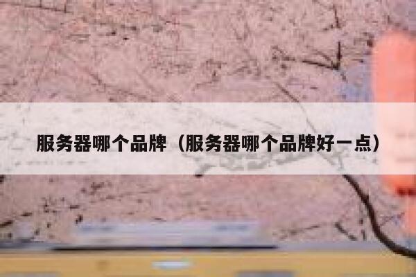 服务器哪个品牌（服务器哪个品牌好一点） 第1张