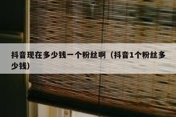 抖音现在多少钱一个粉丝啊（抖音1个粉丝多少钱） 第1张