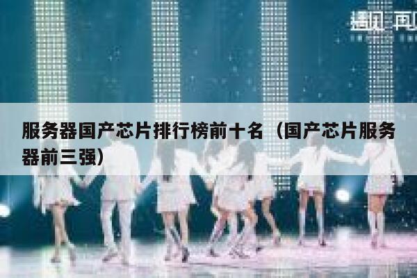 服务器国产芯片排行榜前十名(国产芯片服务器前三强) 第1张 服务器国产芯片排行榜前十名(国产芯片服务器前三强) 第1张