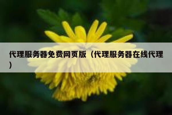 代理服务器免费网页版(代理服务器在线代理) 第1张 代理服务器免费网页版(代理服务器在线代理) 第1张