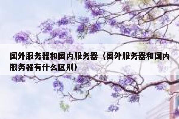 国外服务器和国内服务器（国外服务器和国内服务器有什么区别） 第1张