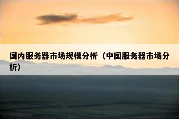 国内服务器市场规模分析(中国服务器市场分析) 第1张 国内服务器市场规模分析(中国服务器市场分析) 第1张