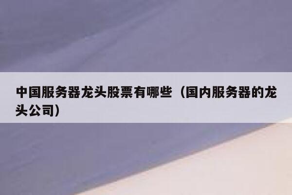 中国服务器龙头股票有哪些（国内服务器的龙头公司） 第1张