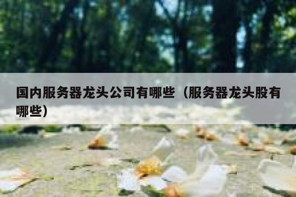 国内服务器龙头公司有哪些（服务器龙头股有哪些） 第1张