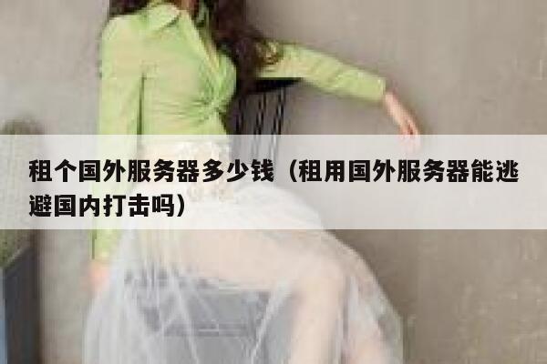 租个国外服务器多少钱（租用国外服务器能逃避国内打击吗） 第1张