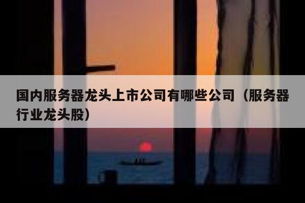 国内服务器龙头上市公司有哪些公司（服务器行业龙头股） 第1张