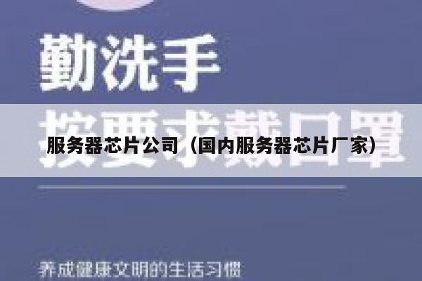 服务器芯片公司（国内服务器芯片厂家） 第1张