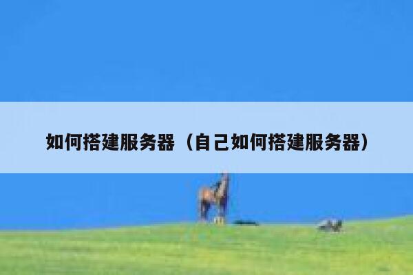 如何搭建服务器（自己如何搭建服务器） 第1张