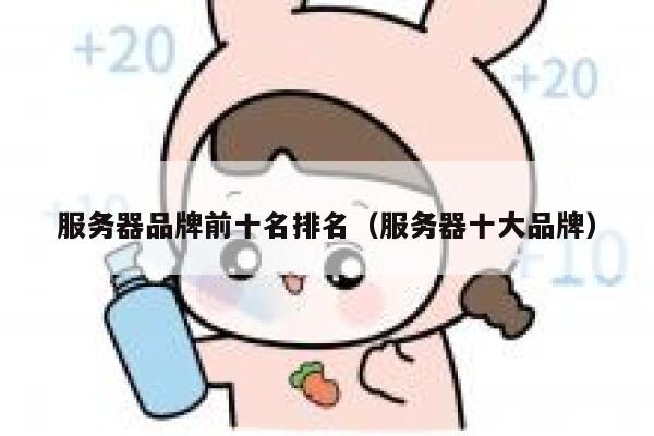 服务器品牌前十名排名（服务器十大品牌） 第1张