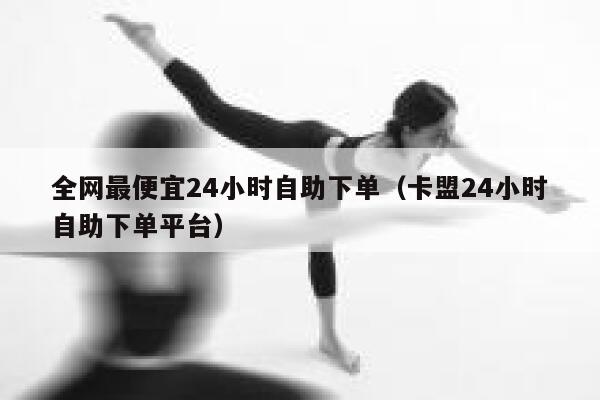 全网最便宜24小时自助下单（卡盟24小时自助下单平台） 第1张