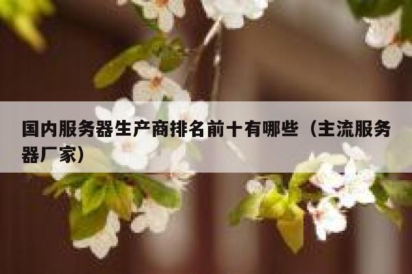 国内服务器生产商排名前十有哪些（主流服务器厂家） 第1张