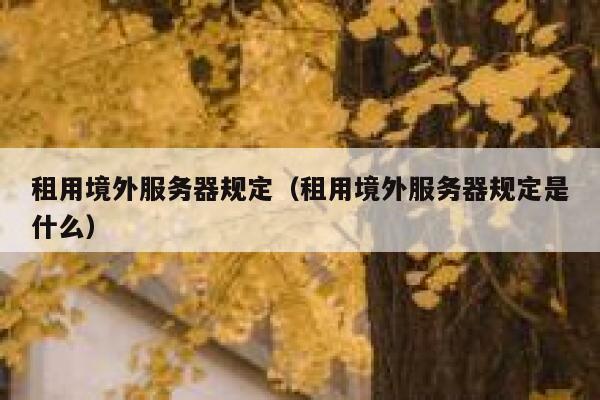 租用境外服务器规定（租用境外服务器规定是什么） 第1张