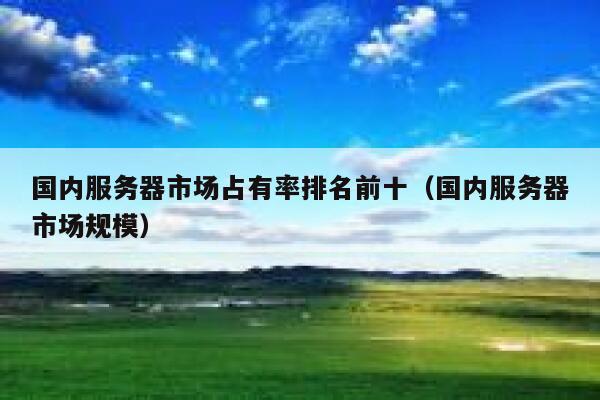国内服务器市场占有率排名前十（国内服务器市场规模） 第1张