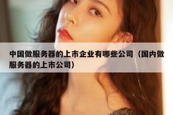 中国做服务器的上市企业有哪些公司（国内做服务器的上市公司） 第1张