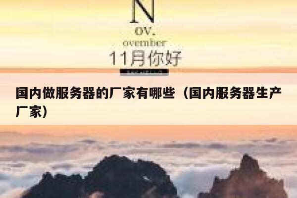 国内做服务器的厂家有哪些（国内服务器生产厂家） 第1张