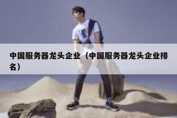 中国服务器龙头企业（中国服务器龙头企业排名） 第1张