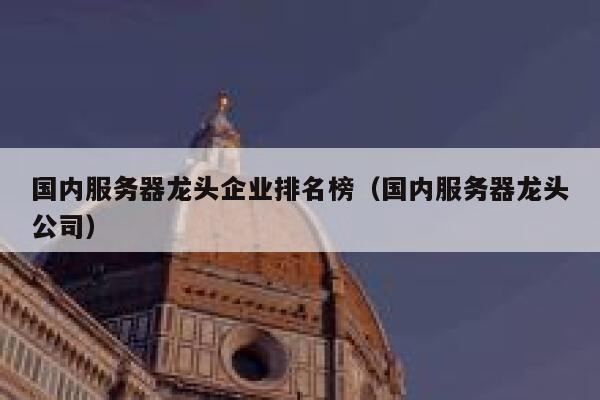 国内服务器龙头企业排名榜（国内服务器龙头公司） 第1张