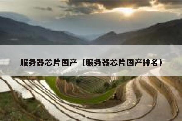 服务器芯片国产（服务器芯片国产排名） 第1张