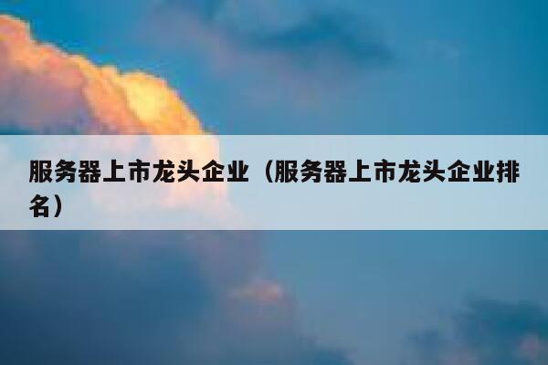 服务器上市龙头企业（服务器上市龙头企业排名） 第1张