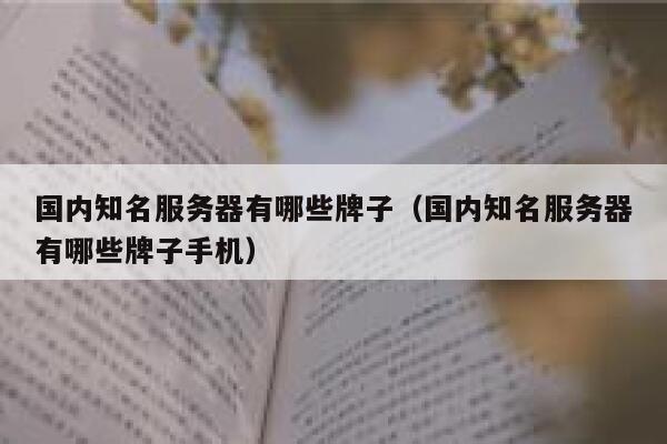 国内知名服务器有哪些牌子（国内知名服务器有哪些牌子手机） 第1张