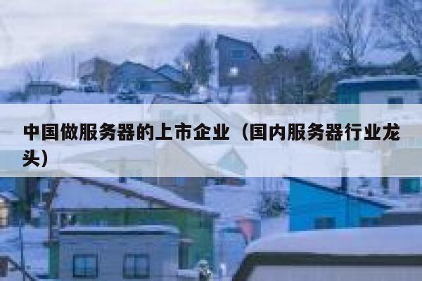 中国做服务器的上市企业（国内服务器行业龙头） 第1张