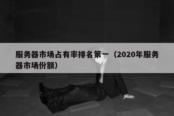 服务器市场占有率排名第一（2020年服务器市场份额） 第1张