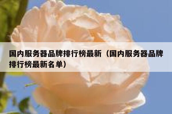 国内服务器品牌排行榜最新（国内服务器品牌排行榜最新名单） 第1张