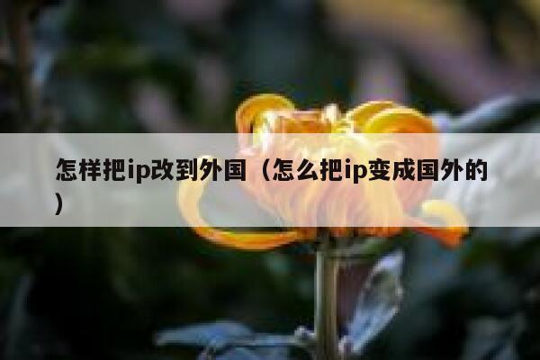 怎样把ip改到外国（怎么把ip变成国外的） 第1张