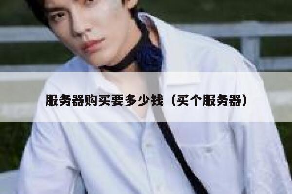 服务器购买要多少钱（买个服务器） 第1张