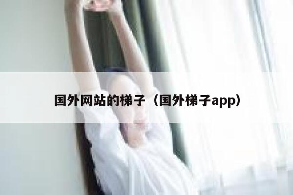 国外网站的梯子（国外梯子app） 第1张