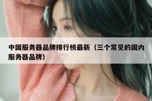 中国服务器品牌排行榜最新（三个常见的国内服务器品牌） 第1张