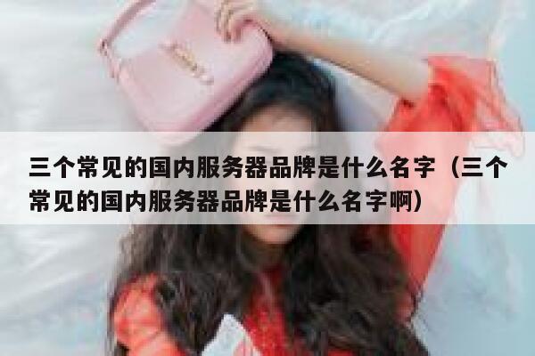 三个常见的国内服务器品牌是什么名字（三个常见的国内服务器品牌是什么名字啊） 第1张
