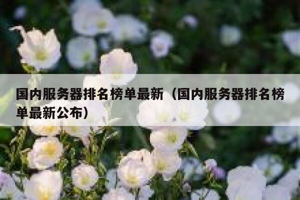 国内服务器排名榜单最新（国内服务器排名榜单最新公布） 第1张