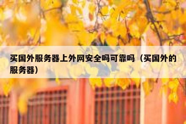买国外服务器上外网安全吗可靠吗（买国外的服务器） 第1张