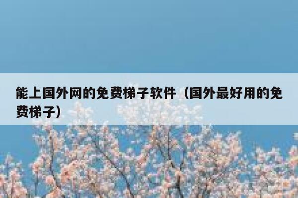 能上国外网的免费梯子软件（国外最好用的免费梯子） 第1张