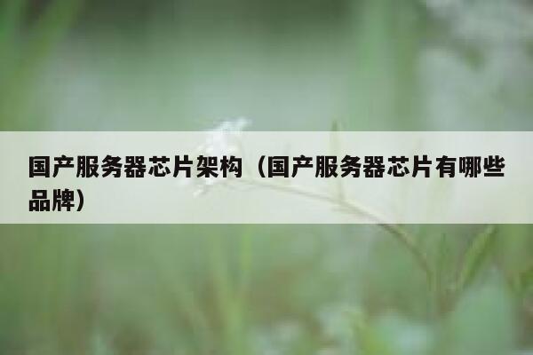 国产服务器芯片架构（国产服务器芯片有哪些品牌） 第1张